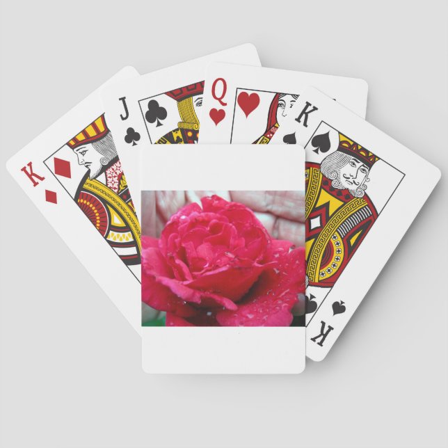 Rote Rose Spielkarten (Rückseite)