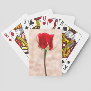 Rote Rose Spielkarten