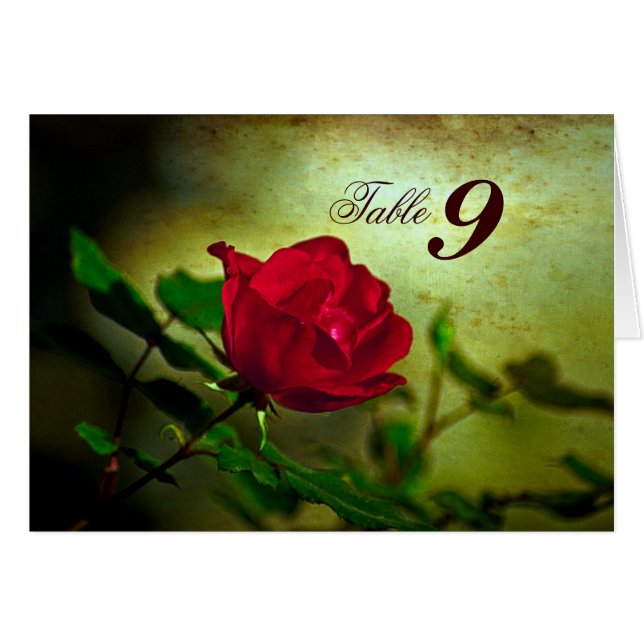 rote Rose Steampunk (Vorderseite (Horizontal))