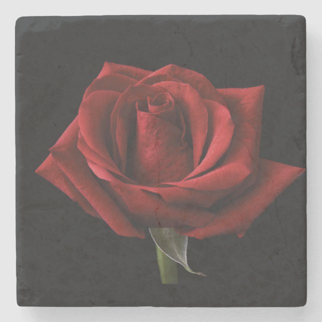 Rote Rose Steinuntersetzer (Vorderseite)