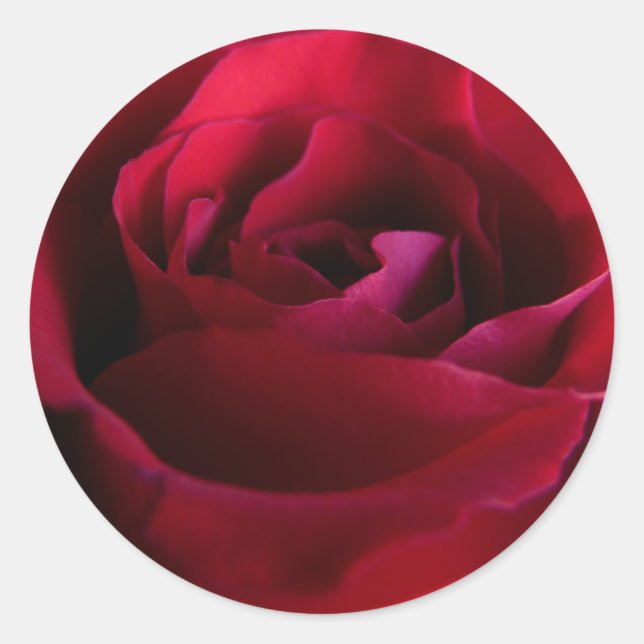 Rote Rose Stickers Pink Rote Rose Geschenke Keepak (Vorderseite)