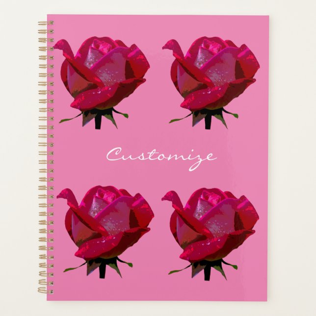 rote Rose Thunder_Cove Planer (Vorderseite)