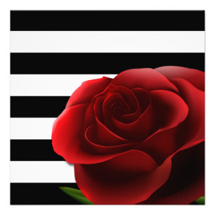 Rote Rose u. Schwarz-weiße Streifen Fotodruck