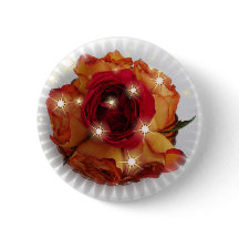 Rote Rose und Orangen und Gelb