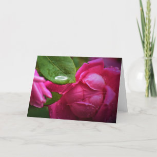 Rote Rose und Seile, Karte