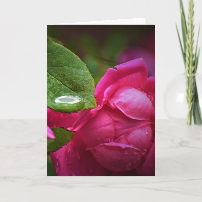 Rote Rose und Seile, Karte (Vorderseite)