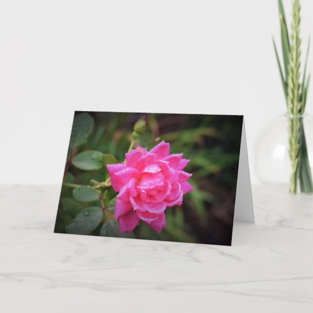 Rote Rose und Seile, Karte (Vorderseite)