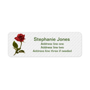 Rote Rose und Stamm - Blumenphotographie