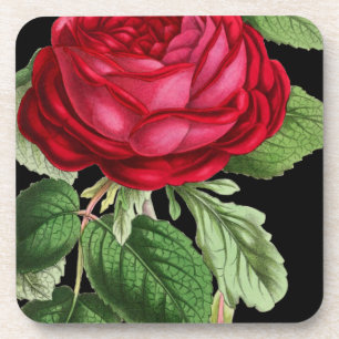 Rote Rose Untersetzer