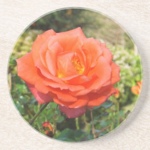 Rote Rose Untersetzer