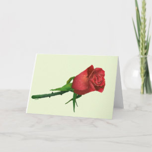 Rote Rose Valentine Feiertagskarte