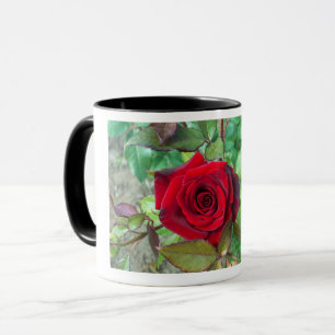 Rote Rose Valentinstag Tasse