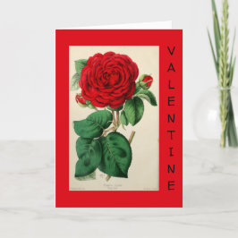 Rote Rose Vintage Kunst, Dichtung und Musik Feiertagskarte