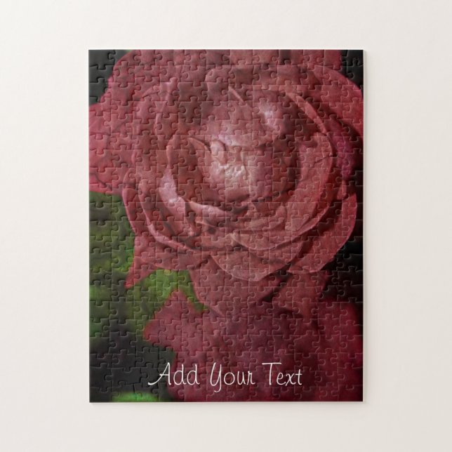 Rote Rose von Shirley Taylor (Vertikal)