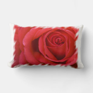 Rote Rose White Border Lumbar Lendenkissen
