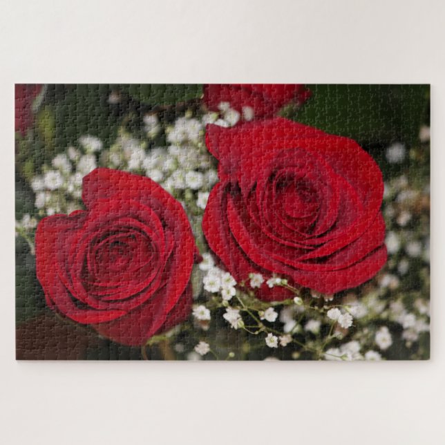 Rote Rosen (Horizontal)