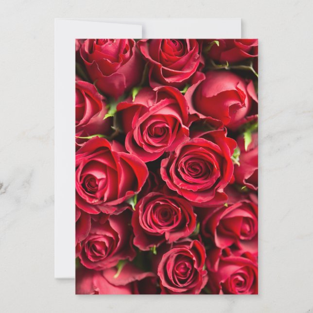 Rote Rosen (Vorderseite)