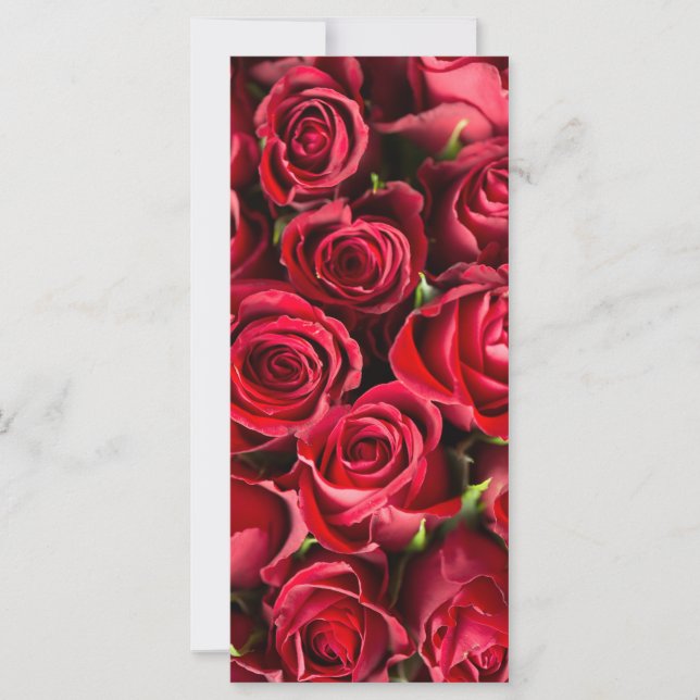 Rote Rosen (Vorderseite)