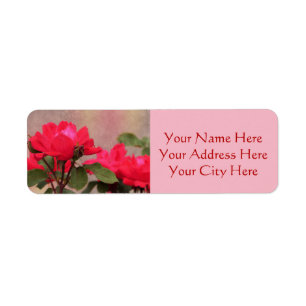 Rote Rosen