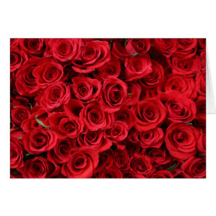 Rote Rosen