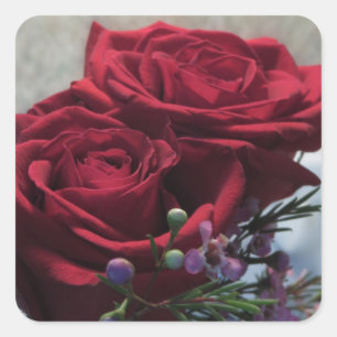 Rote Rosen 1a Quadratischer Aufkleber
