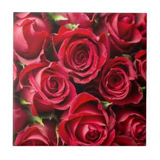 Rote Rosen am Valentinstag Fliese