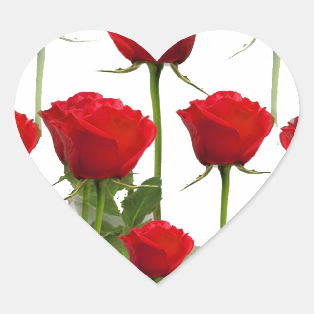 ROTE ROSEN AUF WEISS Herz-Aufkleber (Vorderseite)