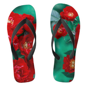 Rote Rosen Blassgrüne Blätter Flip Flops