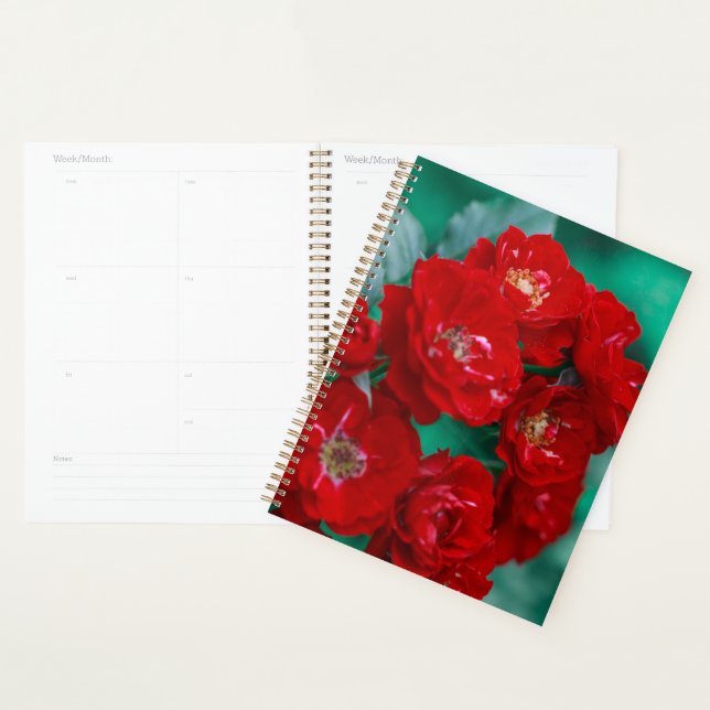 Rote Rosen Blassgrüne Blätter Planer (Anzeige)