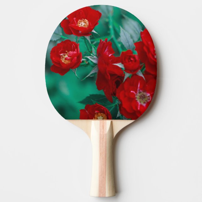 Rote Rosen Blassgrüne Blätter Tischtennis Schläger (Vorderseite)