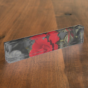 rote Rosen blühen auf dunkelgrau Namensplakette