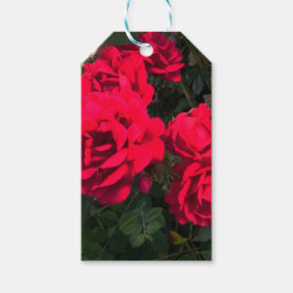 Rote Rosen blühen Geschenkanhänger