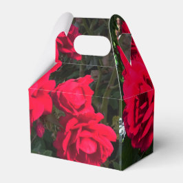 Rote Rosen blühen Geschenkschachtel