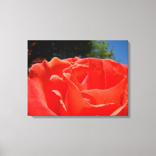 Rote Rosen-Blumen-Leinwand-Fotodrucke Geschenke Leinwanddruck