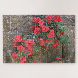 Rote Rosen, die auf Ziegelmauer klettern, Spanien