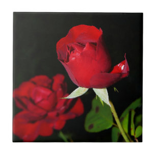 Rote Rosen Fliese