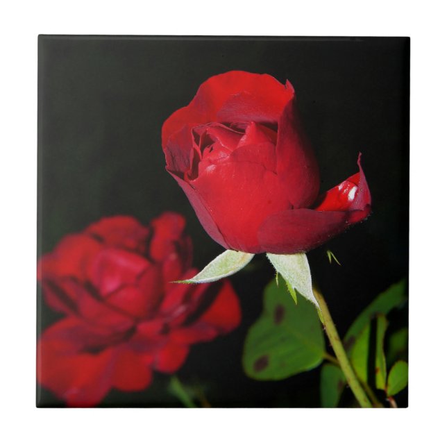 Rote Rosen Fliese (Vorderseite)