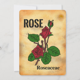 Rote Rosen gealterter Papierstil Linienkunst Flach