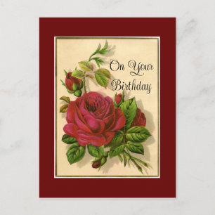 Rote Rosen Geburtstagspostkarte Postkarte