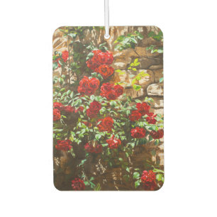 Rote Rosen gegen eine Steinmauer Autolufterfrischer