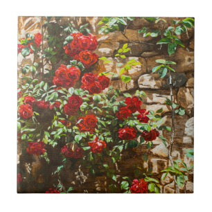 Rote Rosen gegen eine Steinmauer Fliese