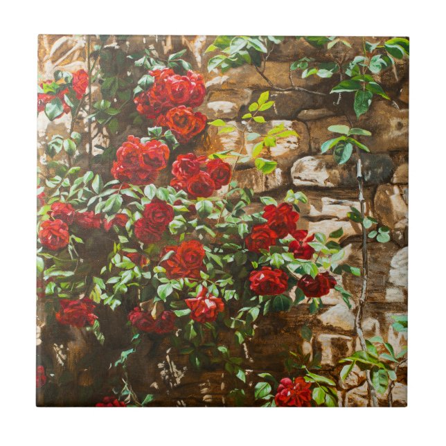 Rote Rosen gegen eine Steinmauer Fliese (Vorderseite)