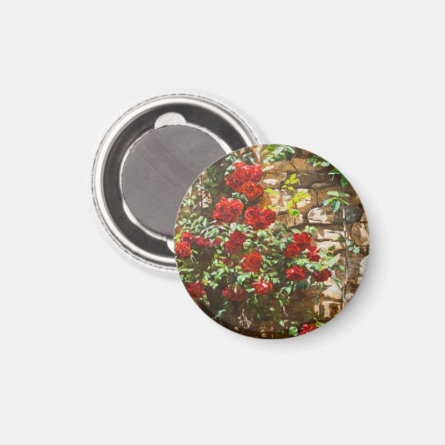 Rote Rosen gegen eine Steinmauer Magnet (Vorderseite/Rückseite)