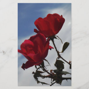 Rote Rosen gegen einen hellen blauen Himmel Briefpapier