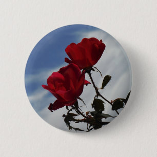 Rote Rosen gegen einen hellen blauen Himmel Button