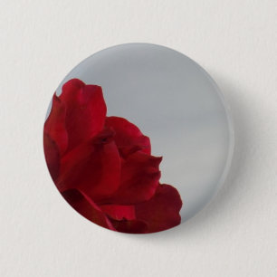 Rote Rosen gegen einen hellen blauen Himmel Button