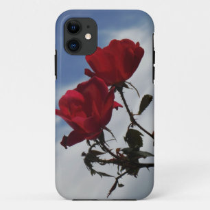 Rote Rosen gegen einen hellen blauen Himmel title_seo2
