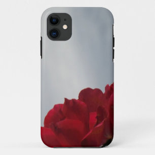 Rote Rosen gegen einen hellen blauen Himmel iPhone 11 Hülle