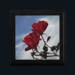 Rote Rosen gegen einen hellen blauen Himmel Erinnerungskiste<br><div class="desc">Rote Rosen gegen ein blaues Foto von Sandy Closs,  aufgenommen am Arrowhead See. "rote Rose""rote Rosen""rosa Rosen""Rosa Rosen""Hochzeiten""Liebe-Geschenk""Rote Blume""Rote Blume""Rote Blüten" Rose "Geschenke mit Rose"</div>