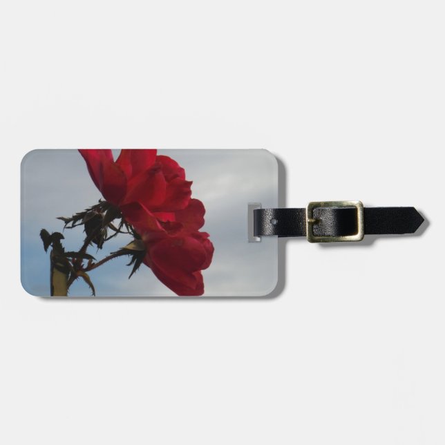 Rote Rosen gegen einen hellen blauen Himmel Gepäckanhänger (Vorderseite horizontal)